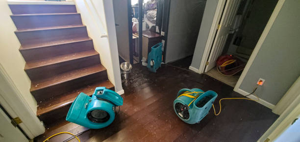  Wedgefield, SC Water damage restoration Pros