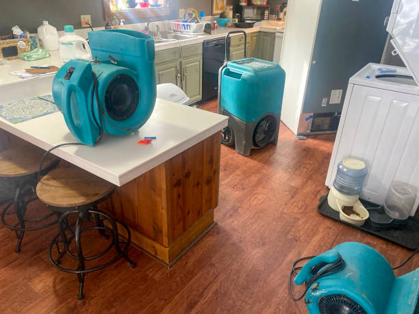 Reliable Wedgefield, SC Water damage restoration Solutions