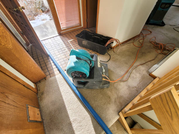 Best Residential water damage restoration  in Wedgefield, SC