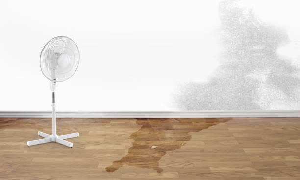 Water damage restoration insurance claims in Wedgefield, SC