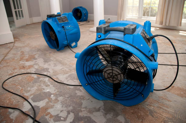  Wedgefield, SC Water damage restoration Pros