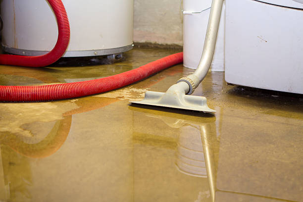 Best Mold removal after water damage  in Wedgefield, SC