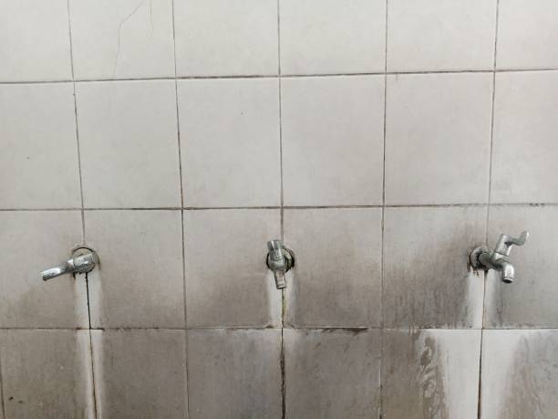 Best 24/7 water damage repair  in Wedgefield, SC