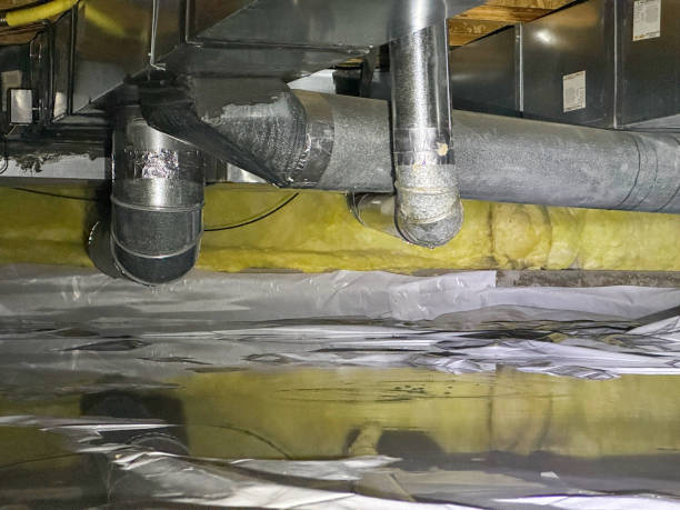 Best Water damage restoration near me  in Wedgefield, SC