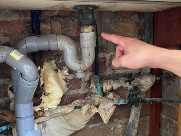 Best Sewage cleanup and water damage restoration  in Wedgefield, SC